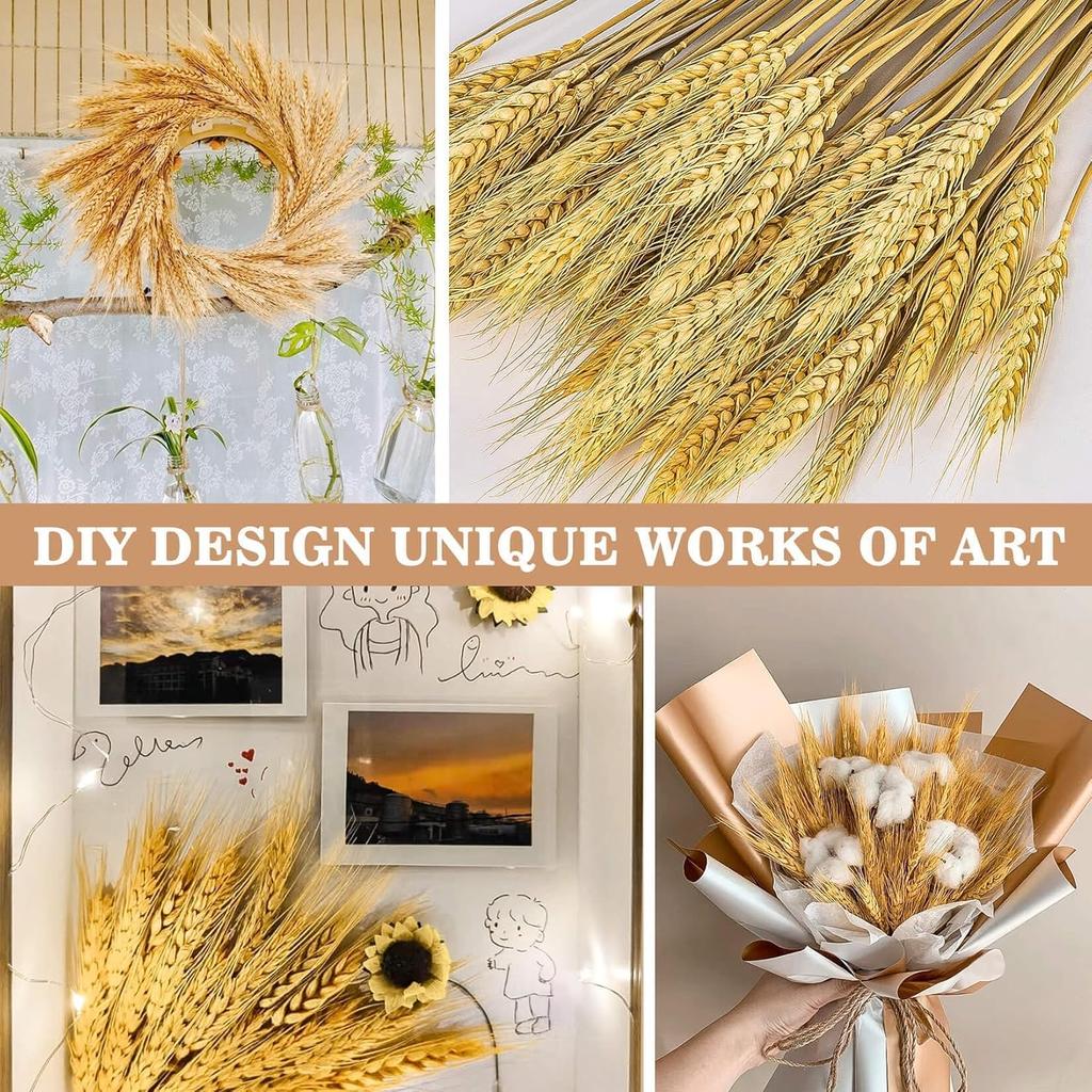 100 Pcs Dried Wheat Stalks for Decor, Sheaves Grass Natural Bunch Flowers Home Wedding Table Kitchen Boho Farmhouse Fall Arrangement DIY Decoration
