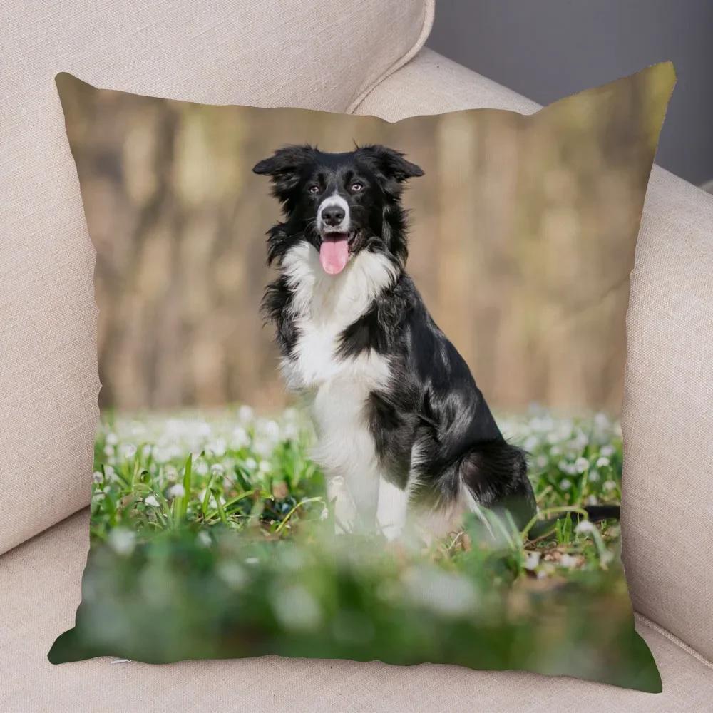 Cute Pet Animal  Cushion Cover Scotland Border Collie Pillowcase for Sofa Car Decor Dog Printed Soft Plush Pillow Case
