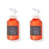 BBW 259ml 2 Packs CITRUS & VETIVER Gentle Foaming Hand