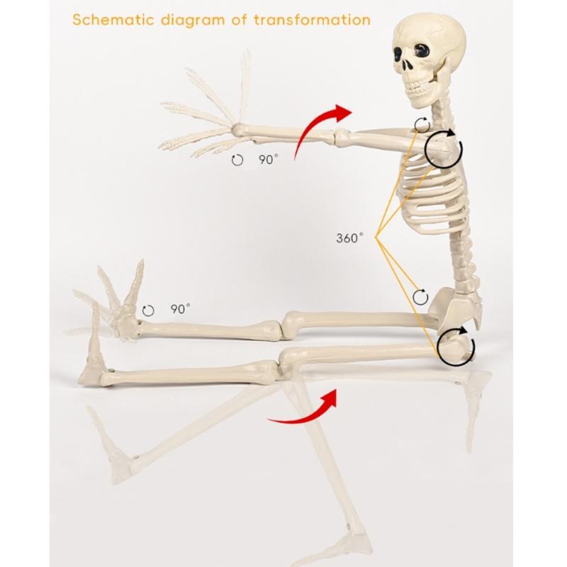 Lebensgroßes Skelett, beweglicher Ganzkörper-Halloween-Dekoration mit beweglichen Gelenken für furchterregende Party-Requisiten für Spukhäuser