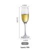Crystal Cocktail and Wine Goblet