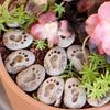20PCS Small Footprint Paving Stones Resin Potted Footprint Ornament  Pathway