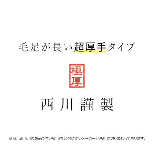 Sleep Plaza Futon Ezaki [Nishikawa] Single Double-Layer Blanket, High Volume, Extra Thick 2.4kg, Warm Meyer Double-Layer Blanket, Aurora Pattern with