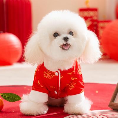 New Dog Tang Clothing Festive Lion Satchel Cat Teddy Bear New Year's Greeting Four-legged Cotton-padded Clothes New Year's Pet Clothes