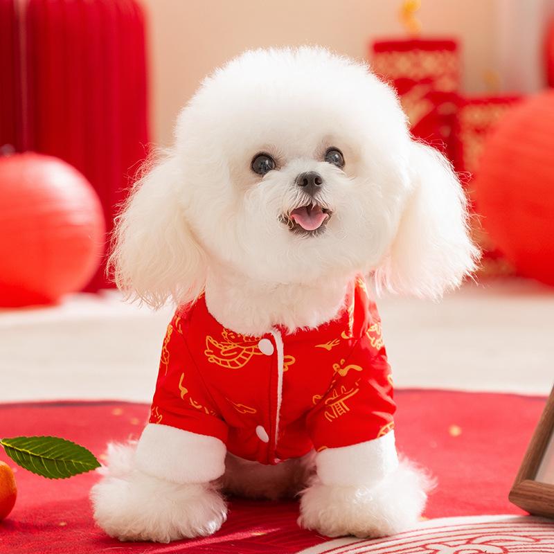 New dog Tang clothing festive lion satchel cat teddy bear New Year's greeting four-legged cotton-padded clothes New Year's pet clothes