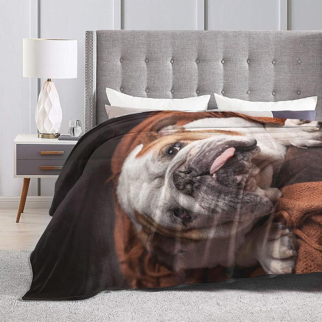 English Bulldog Dog Brown Couch Blanket for Kids Adults Women,Soft Fleece Throw Blanket Cozy Bed Blankets King Size for Couch Bed Travel Camping