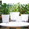 Mini Hydroponik Blumentopf Haus Vase Dekor Transparent Imitation Kunststoff Erdelose Pflanzentöpfe Grüne Pflanzen Topf Für Zuhause