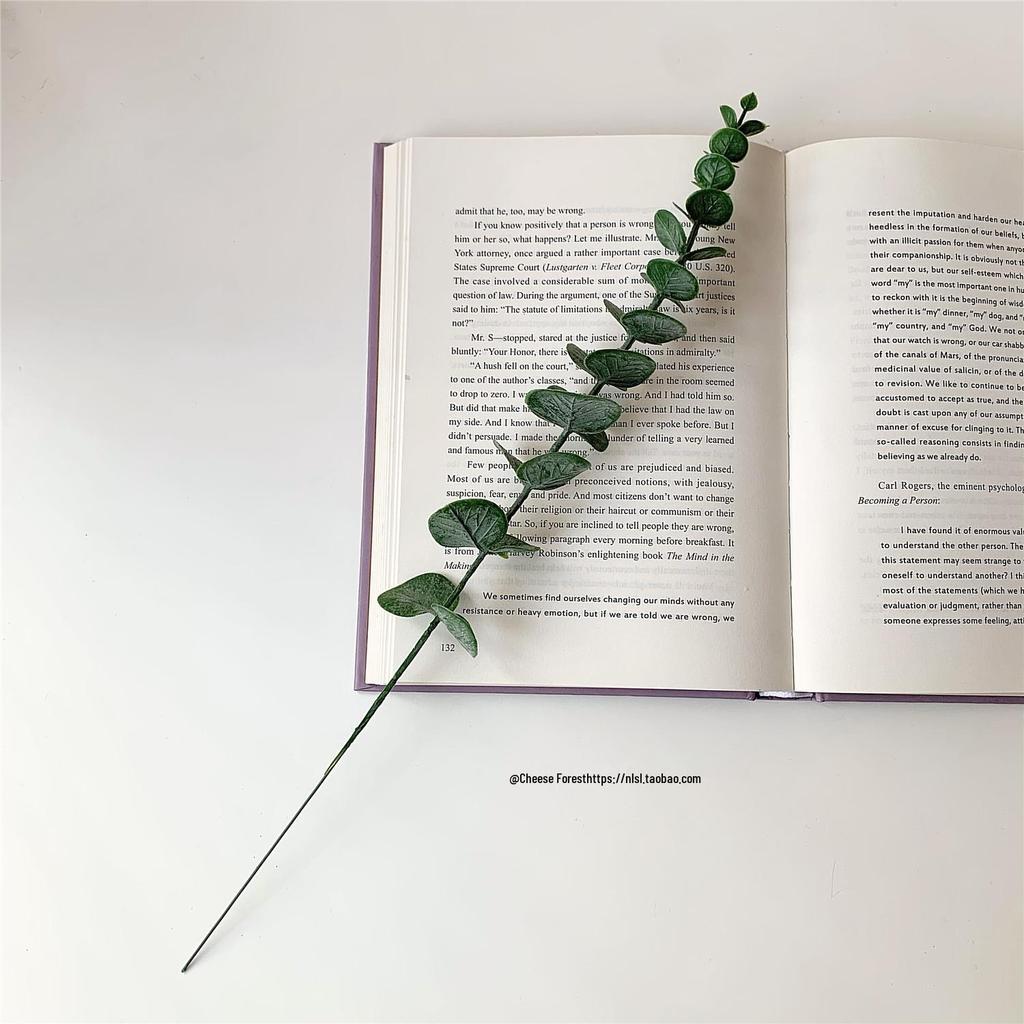 Retro Eucalyptus Money Leaf Branch: Artificial Green Plants for Flower Arrangements, Nordic Style Decor