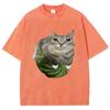 Watermelon Cat Silly Cat Meme T-Shirt Summer Sport Loose T Shirt Tops Shirt Is A Stylish Unisex Top for Both Men and Women