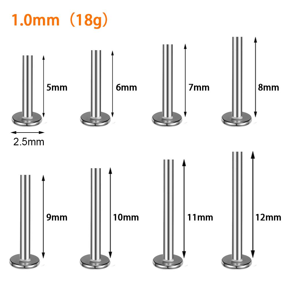 10 Stück G23 Titan 16G 18G 20G Push-in Stecker Rückseite Basis Ohrstecker Lippen Nasenpiercing Tragus Körperschmuck Zubehör