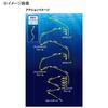 Shimano Offshore Metal Jig Ocea Stinger Butterfly Center Sardine 160g 014 S Zebra Glow JT-716L