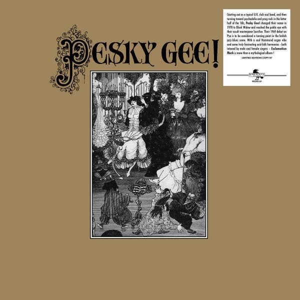 

LP Record PESKY GEE! - Exclamation Mark WISE01LP Wiseraven 2024 Europe Rock