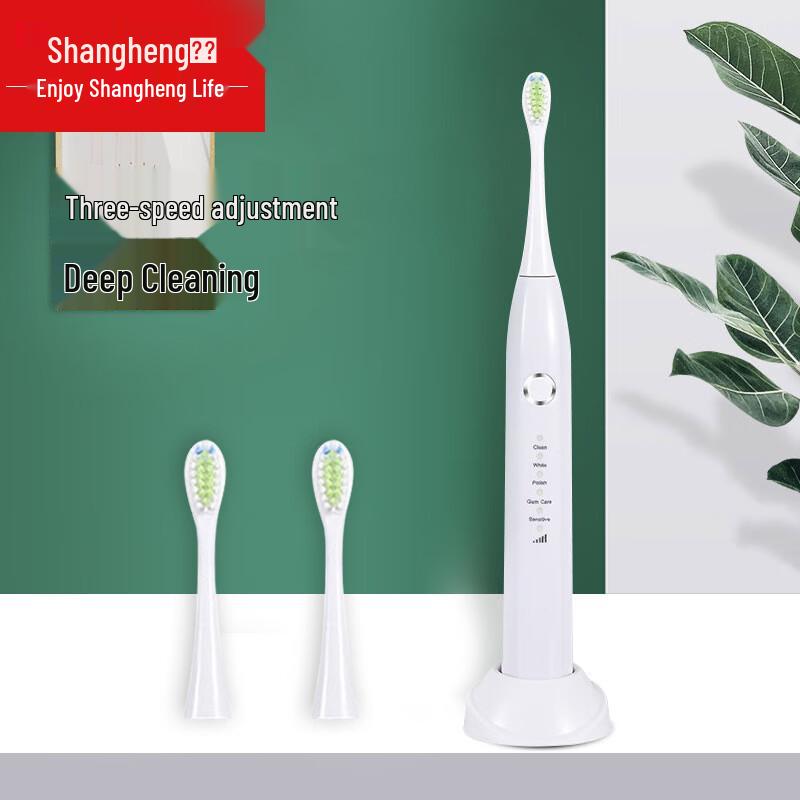

Shangheng SHZH-039 Sonic Electric Toothbrush