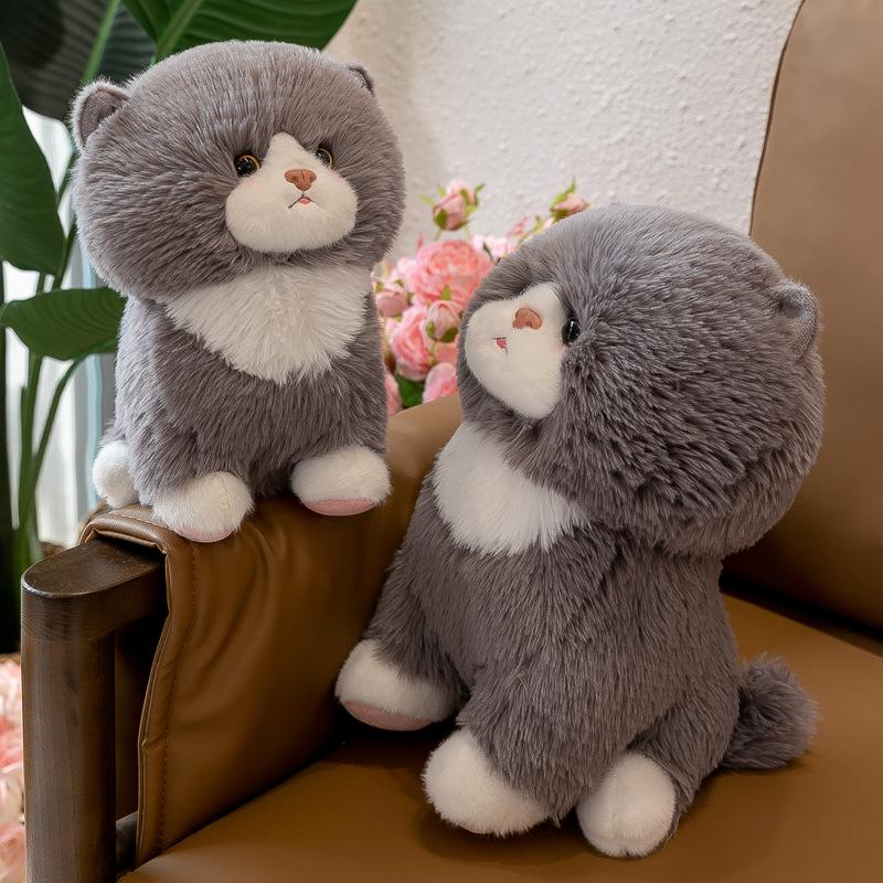 Adorable Short-Eared Cat Plush Toy - Soft Cuddly Doll for Kids and Cat Lovers