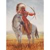 Nový 5D DIY Krajina Diamantový malířský kmen Diamantové vyšívání Koňský křížový steh Celokulatý vrták Domácí dekorace Ruční dárek