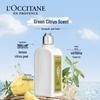 L'OCCITANE Fresh Verbena Body Lotion