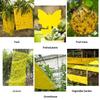 1 Rol Insectenval 10 Meter Geel Dubbelzijdig Insectenwerend Tape Tuin Ongediertebestrijding Voorkom Bladluizen Mieren Motten Klimmend