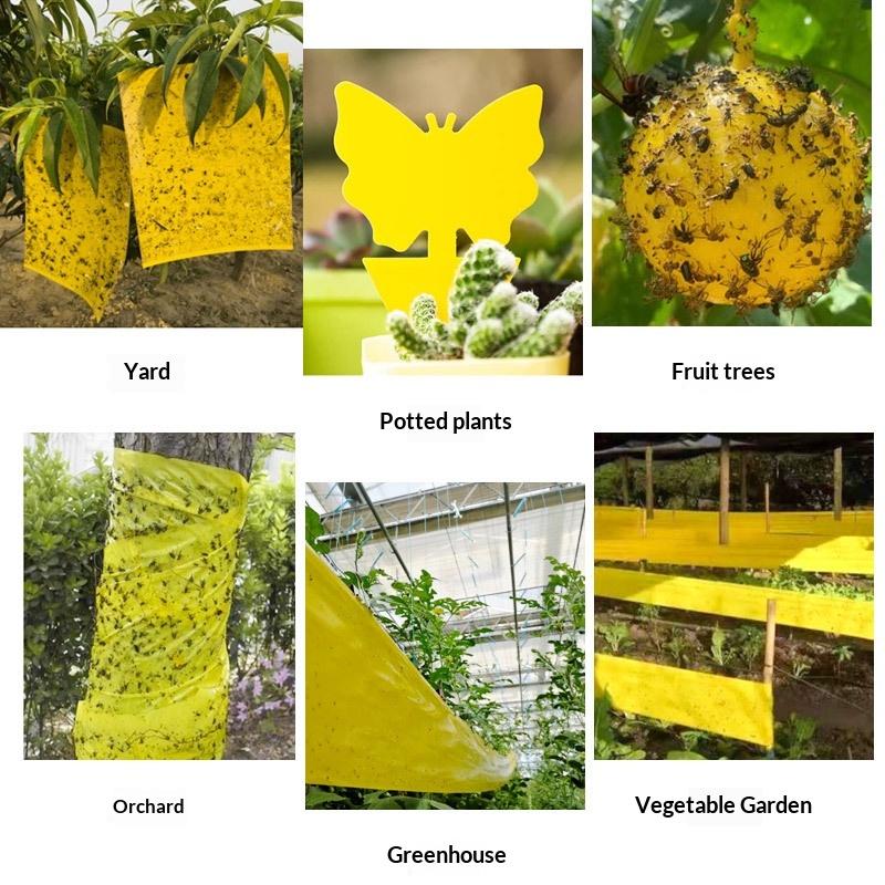 1 Rol Insectenval 10 Meter Geel Dubbelzijdig Insectenwerend Tape Tuin Ongediertebestrijding Voorkom Bladluizen Mieren Motten Klimmend