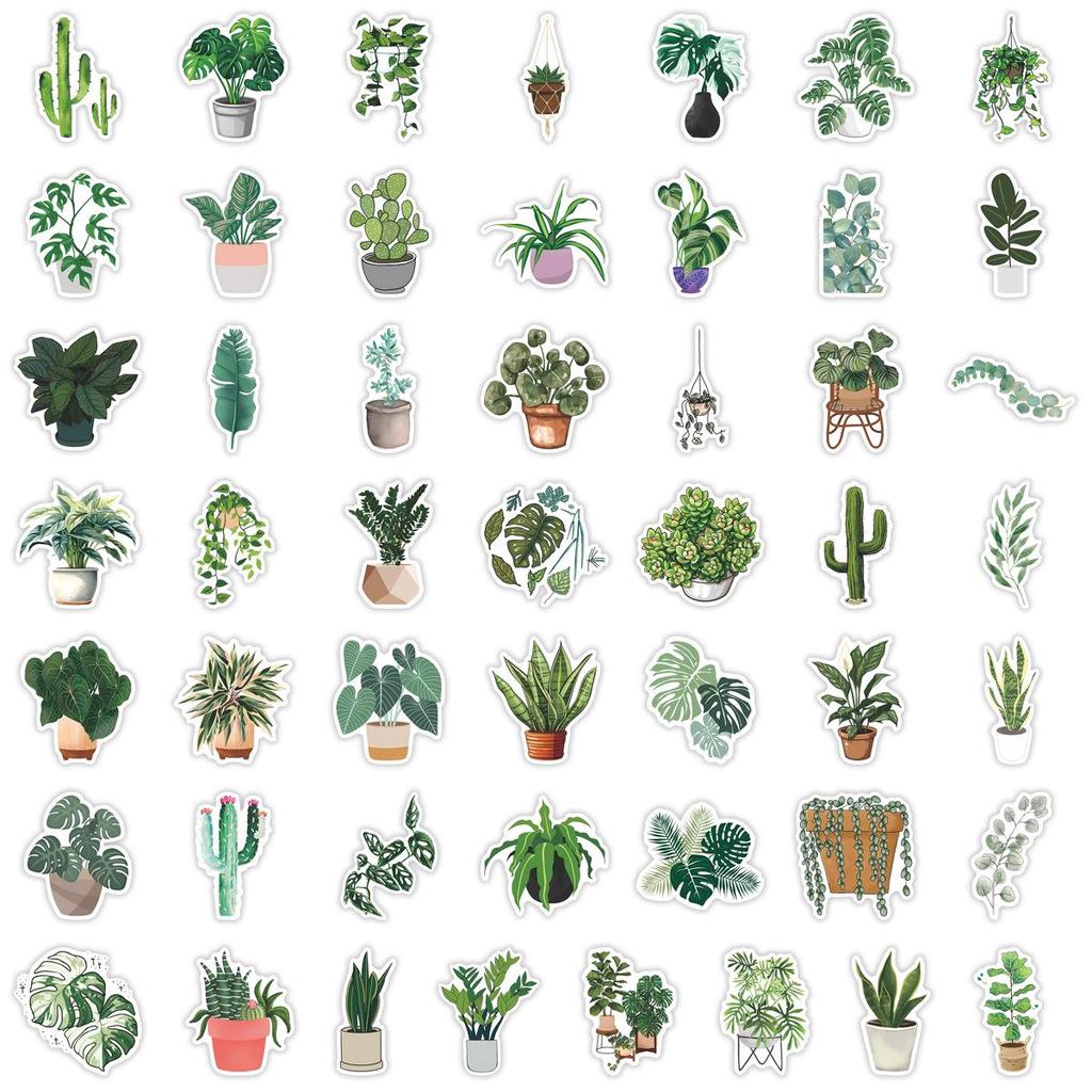 50PCS Green Plant Graffiti Stickers for DIY Decoration - Compatible with Laptops, Luggage, Water Bottles, and Journals
