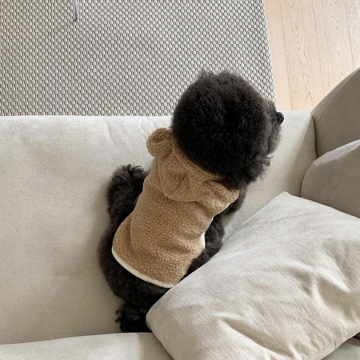 

Ins Warm Pet Clothes Cloak Shawl Small Dog Dog Cat Teddy Autumn Winter Thickened Comfortable Wool Pullovers for Small Dogs Bears S коричневий