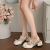 Silver French retro thick heel bag head sandals women's 2025 new summer wear with skirt Mary Jane single shoes