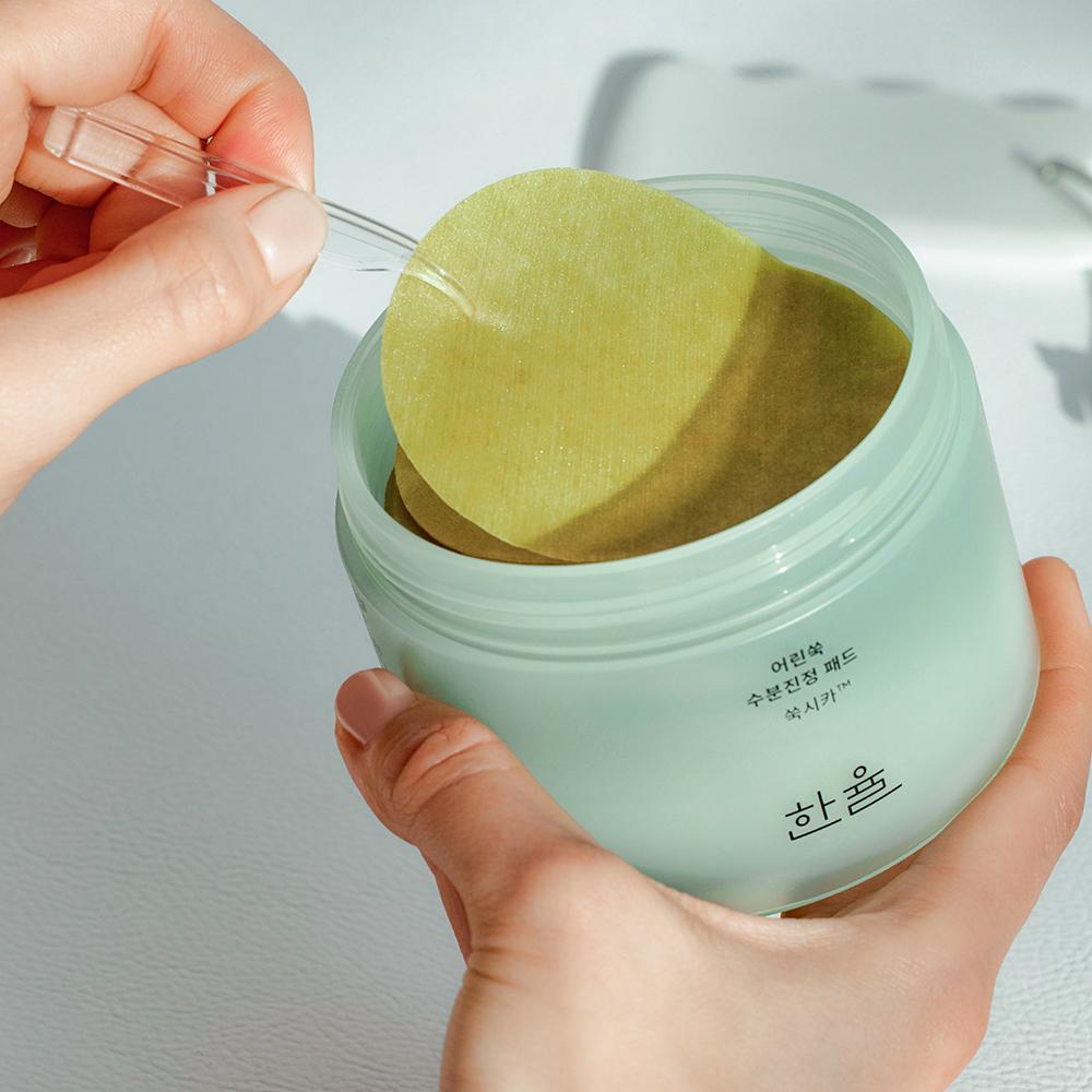 Hanyul Reine Artemisia Wässige Beruhigungspads 60 Stück - Koreanische Toner-Pads