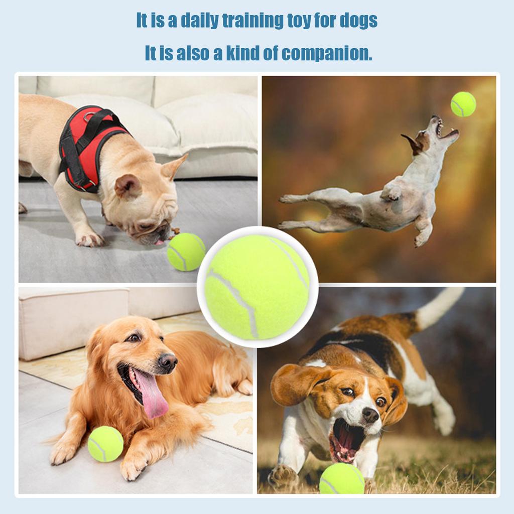 3 Stück Hunde Tennisball Kausicheres Spielzeug Naturkautschuk Apportierball Hüpfendes Interaktives Haustierspielzeug für Aggressive Kauer