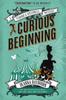 Veronica Speedwell Mystery  A Curious Beginning by Deanna Raybourn Paperback Book 9781785650482