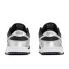 Nike Dunk Fisher Silver Wing Herringbone Abrasion Resistant Abrasion Resistant Low top Skateboard Shoes Men's HF5441-100(TeamA-)