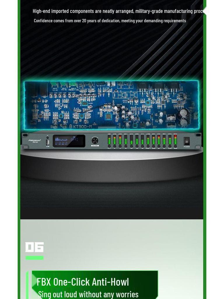 Professional Karaoke Stage & Home Audio Processor with Preamp, Anti-Howl, Equalizer, and Reverb Effects