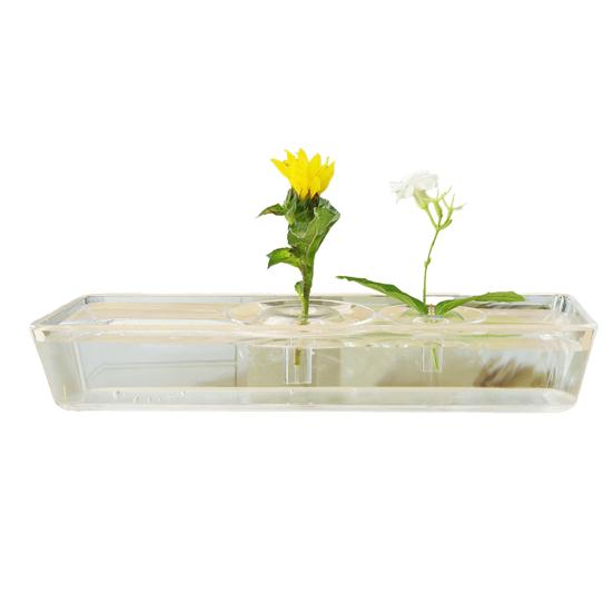 Hydroponic Floral Arrangement Holder Transparent Acrylic Desktop Decoration Multifunctional Container