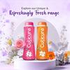 Cuticura Lavender Mist Talcum Powder With Sunscreen For Soft Skin Fresh Fragrance 400 G Each Pack Of 2 For Long Lasting Comfort