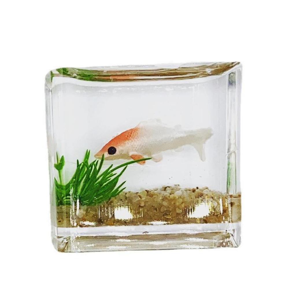 Dollhouse Miniature Glass Fish Tank Ornaments Simulation Aquarium  Model Home Decor Toy Doll House Accessories