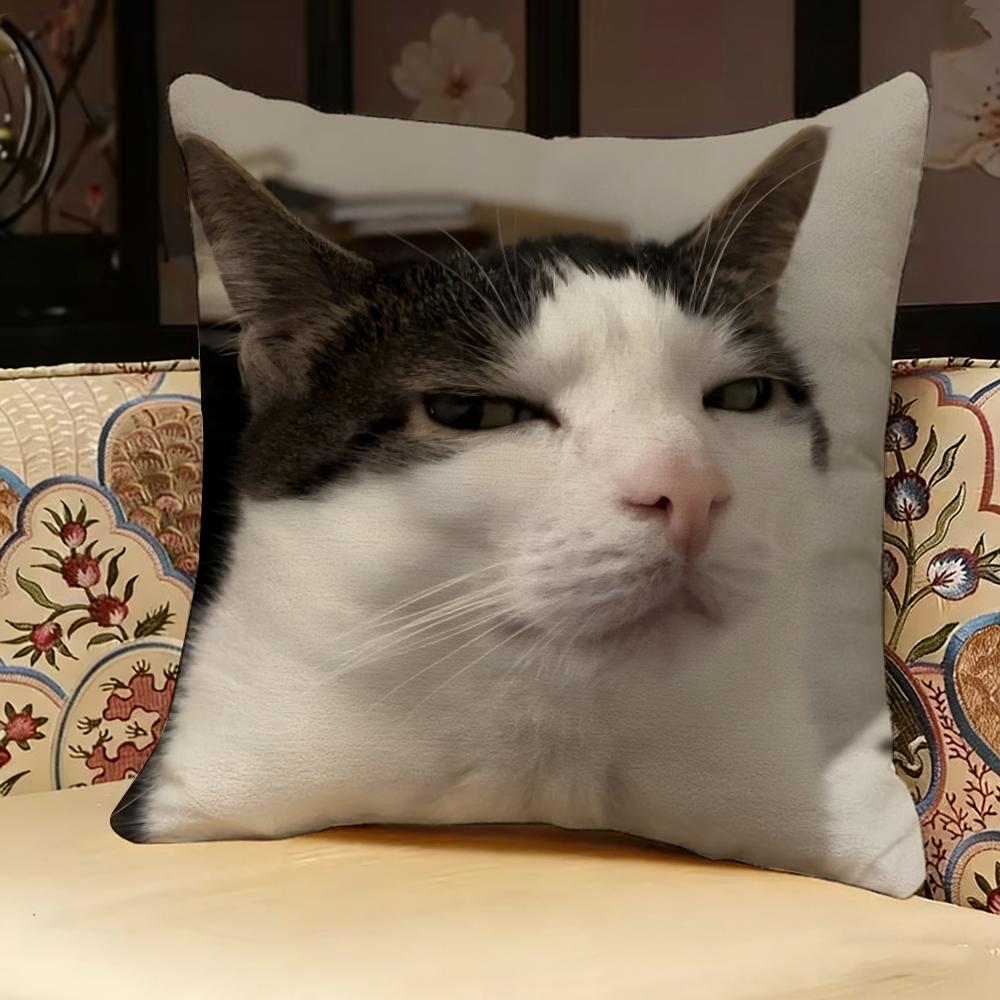 Cat Funny MEME Pillow Case Pillowcase Doublesided Printed Sofa Cushion Bedroom Headboard Pillow