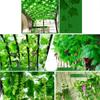 Silk Artificial Ivy Rattan Leaf Garland Plant Vine Home Wedding Bathroom Decoration Garden Festival Party Decor