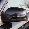 Rearview Mirror Turn Signals For Mercedes Benz W166 W463 X164 X166 Indicator Flicker Accessories 1668200221 1668200121