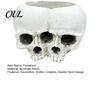 Retro Distressed Skull Decor Double Flowerpot for Succulents Green Plants, Realistic Resin Planter, Gothic Home Plant Pot Halloween Party &
