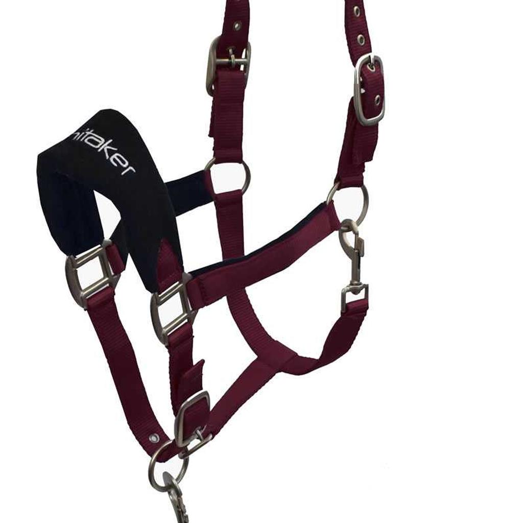 Whitaker Club Horse Headcollar and Leadrope