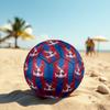 Crystal Palace Size 5 Football High Elastic Soccer Ball For Outdoor Competition Daily Training Play