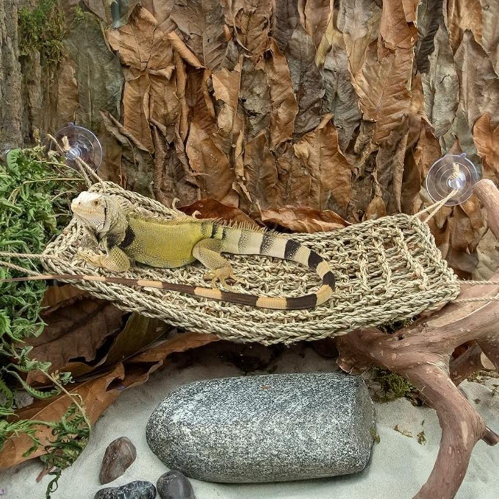 Parrot Grass Net Climbing Ladder for Reptile Hide Bird Swing Hammock with Suction Cup for Terrarium Bearded Dragon Accessories