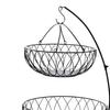 Creative 2-Tier Fruit Basket Bowl Storage Shelf Display Standing Multipurpose for