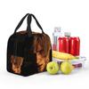 Resident Evils Leon Kennedy Game Insulated Lunch Bag for Women Kids Portable Food Boxes Thermal Lunch Box Tote