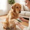Sandpaper Grinding Pad Dog Nail File Portable Handheld Cat Grooming Tool Dog Nail Grinder  Cleaning