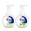 Walch Foam Antibacterial Hand Soap
