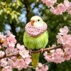 Soft Protective Collar Parrots Budgie Cockatiel Conure Neck Guard Bird Recovery
