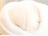 Infant Non-Slip Fleece Lined Soft Sole Winter Shoes for Beginners (0-1 Year)