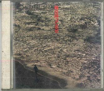 

CD VARIOUS Ore Ha Matteruze 24 VFD1434 TEICHIKU Japan Japanese PopRock Used