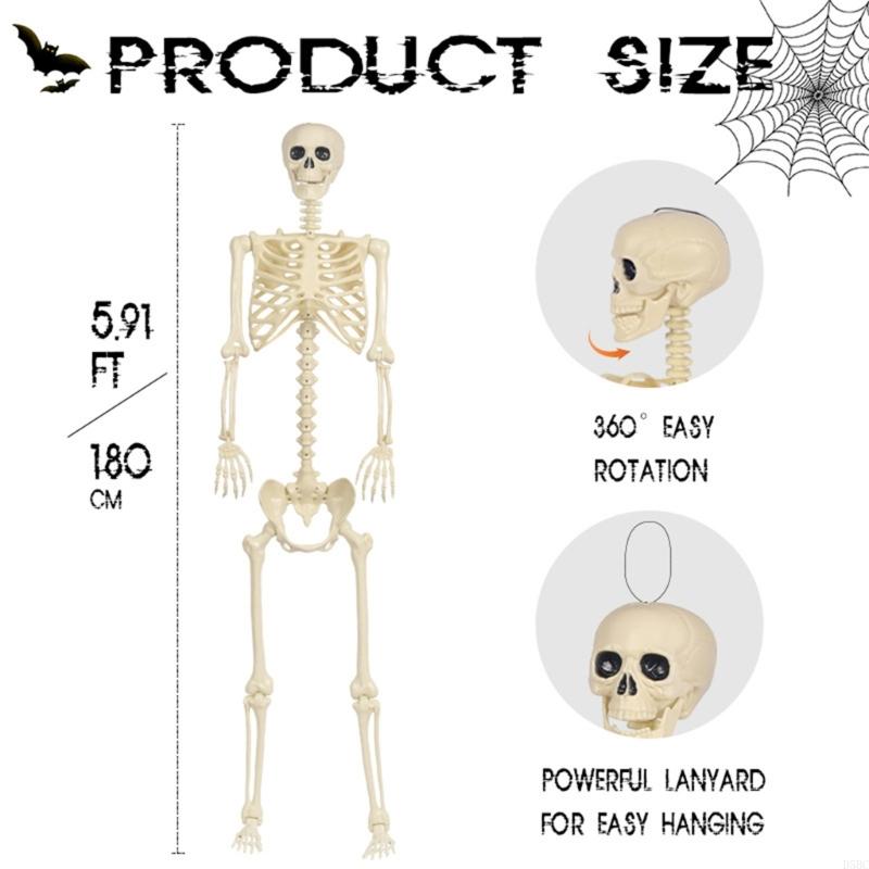 Realistická plastová kostra celého těla pro Halloweenské strašidelné rekvizity a party dekorace