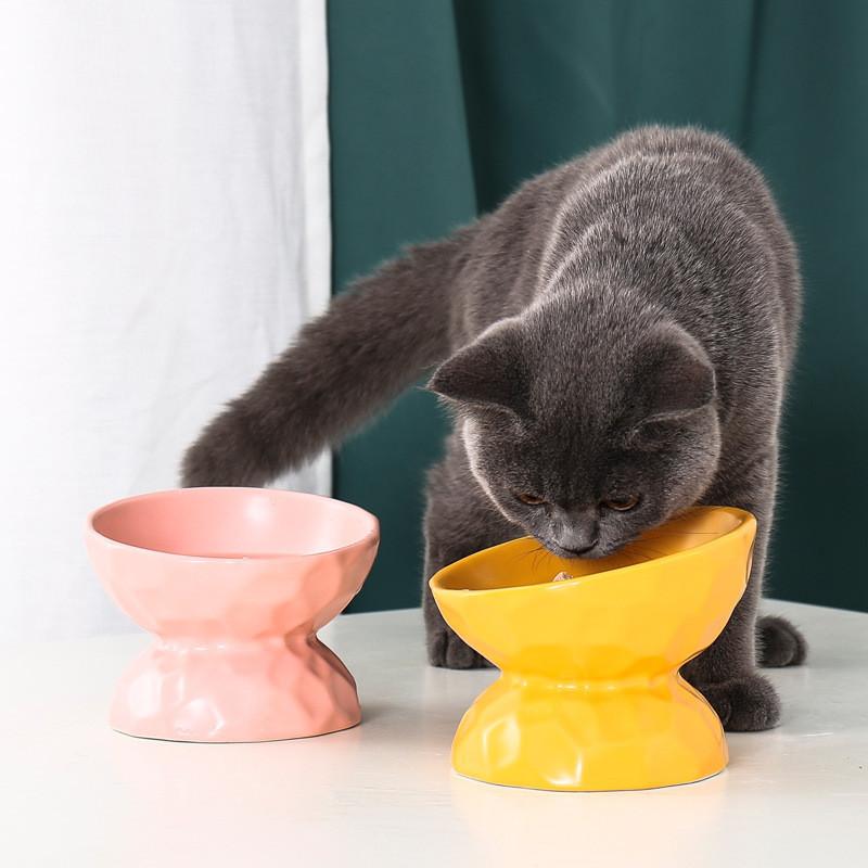 Fashion Ceramic Cat Bowl Protect Spine Oblique Mouth High-footed Dog Feeder Cat Food Bowl Water Bowls Pet Supplies Accessories