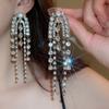 European & American Style Silver Needle Full Rhinestone Irregular Drop Earrings - Exquisite Luxury Design, Niche Fashion Versatile Earrings